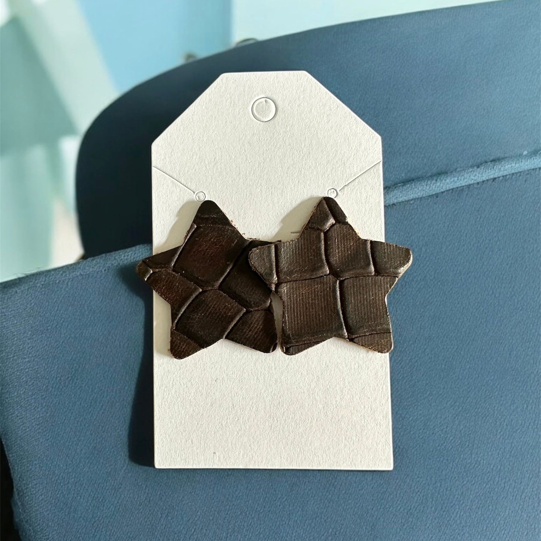 Wild Stars Leather Earrings